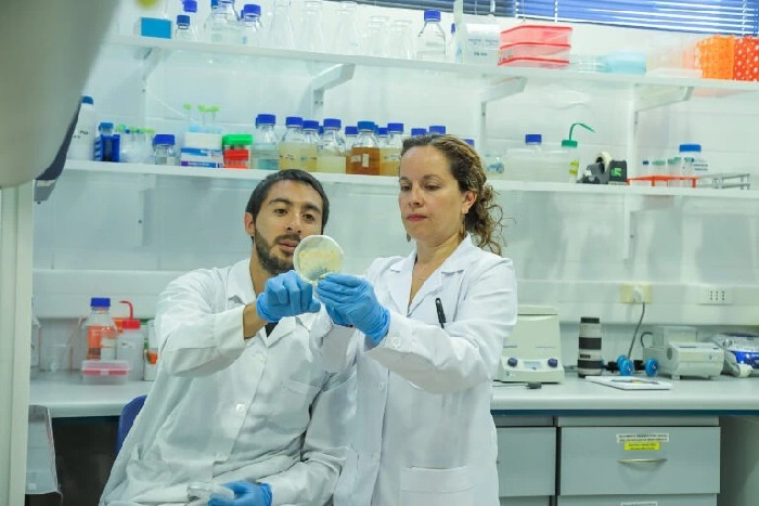 Lanzamiento del Núcleo Milenio BIOGEM: ciencia e innovación al servicio ...